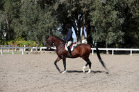 DAHA_FALL19SATPM_5794