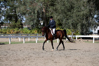 DAHA_FALL19SATPM_5860