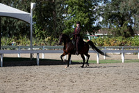 DAHA_FALL19SATPM_5915