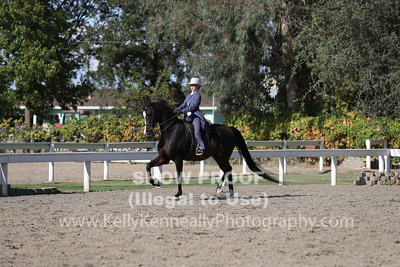 DAHA_FALL19SATPM_5925