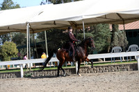 DAHA_FALL19SATPM_5932