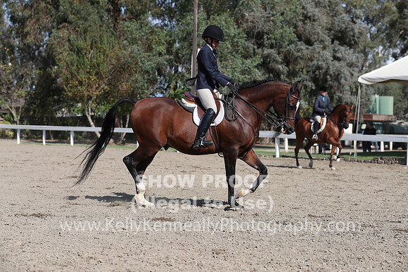 DAHA_FALL19SATPM_5829