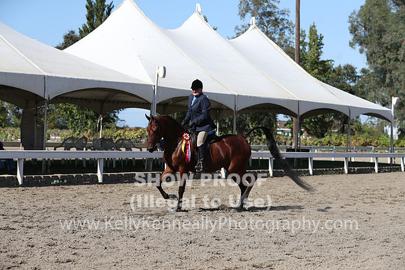 DAHA_FALL19SATPM_5833