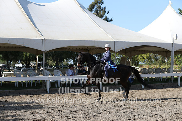 DAHA_FALL19SATPM_5946