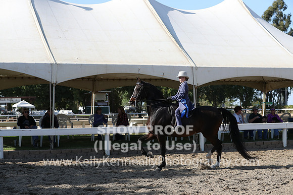 DAHA_FALL19SATPM_5947