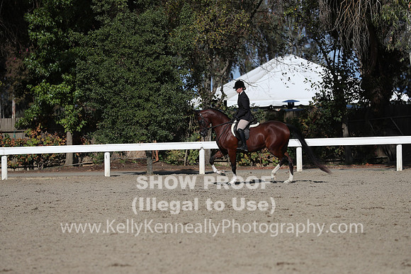 DAHA_FALL19SATPM_5952