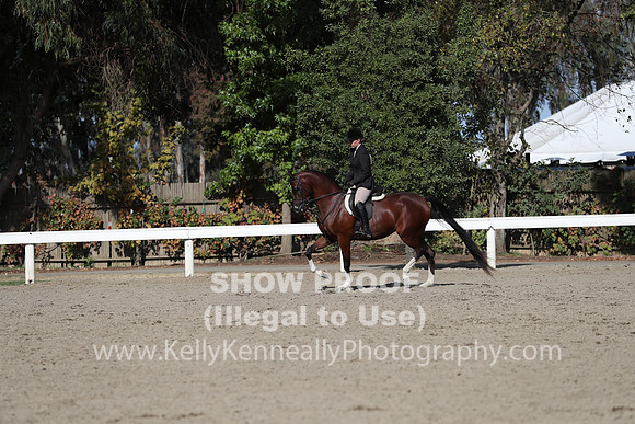 DAHA_FALL19SATPM_5953