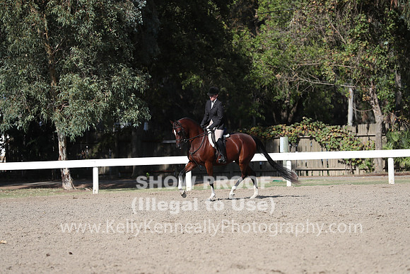 DAHA_FALL19SATPM_5956