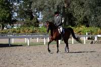 DAHA_FALL19SATPM_5960