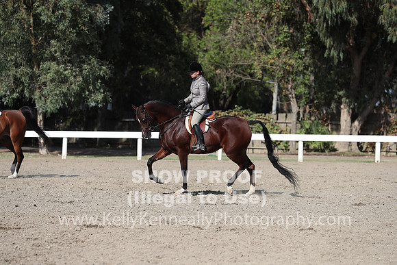 DAHA_FALL19SATPM_5968