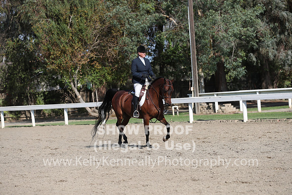 DAHA_FALL19SATPM_5971