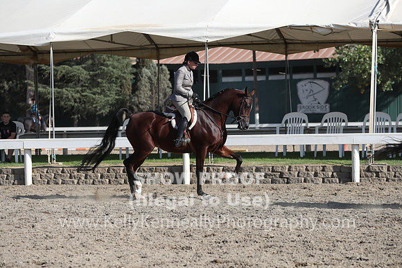 DAHA_FALL19SATPM_5976