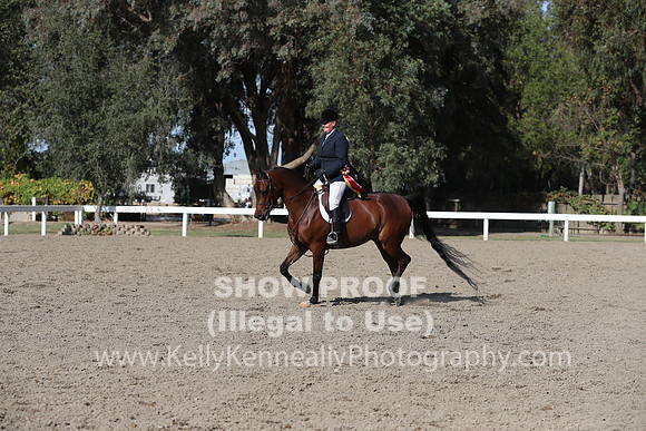 DAHA_FALL19SATPM_5984