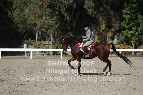 DAHA_FALL19SATPM_5989