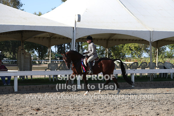 DAHA_FALL19SATPM_5995
