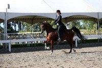 DAHA_FALL19SATPM_6002