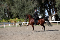 DAHA_FALL19SATPM_5999