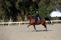 DAHA_FALL19SATPM_6005