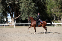 DAHA_FALL19SATPM_6006