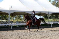 DAHA_FALL19SATPM_6010
