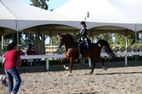 DAHA_FALL19SATPM_6011