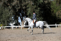 DAHA_FALL19SATPM_6060