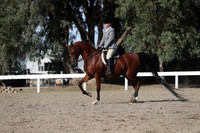 DAHA_FALL19SATPM_6061