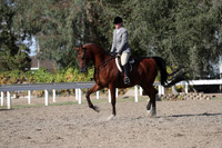 DAHA_FALL19SATPM_6062