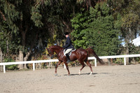 DAHA_FALL19SATPM_6065