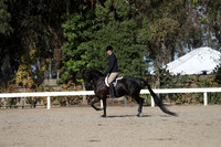 DAHA_FALL19SATPM_6066