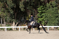 DAHA_FALL19SATPM_6067