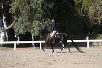 DAHA_FALL19SATPM_6069