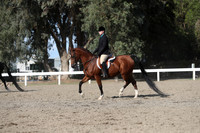 DAHA_FALL19SATPM_6070