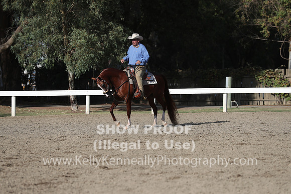 DAHA_FALL19SATPM_6135