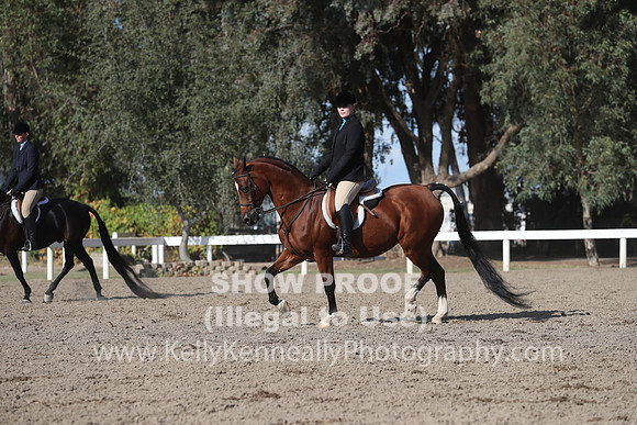 DAHA_FALL19SATPM_6071