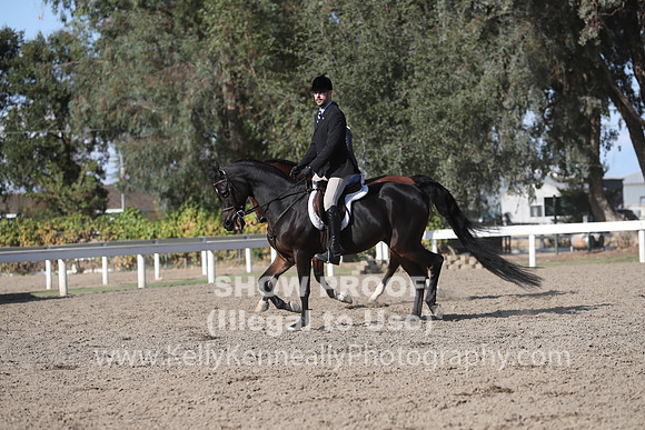 DAHA_FALL19SATPM_6075