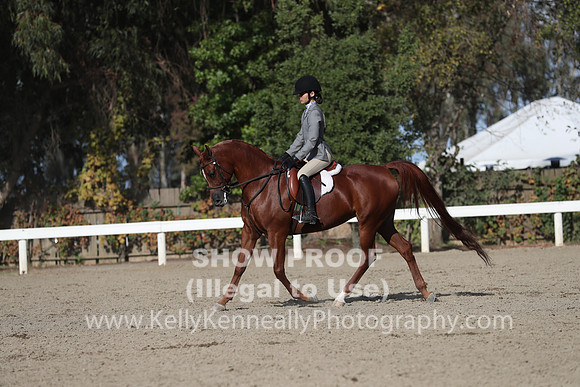 DAHA_FALL19SATPM_6076