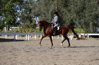 DAHA_FALL19SATPM_6078