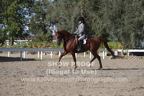 DAHA_FALL19SATPM_6078