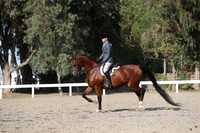 DAHA_FALL19SATPM_6081