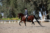 DAHA_FALL19SATPM_6082