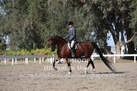 DAHA_FALL19SATPM_6082