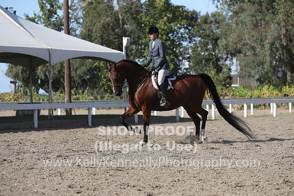 DAHA_FALL19SATPM_6083
