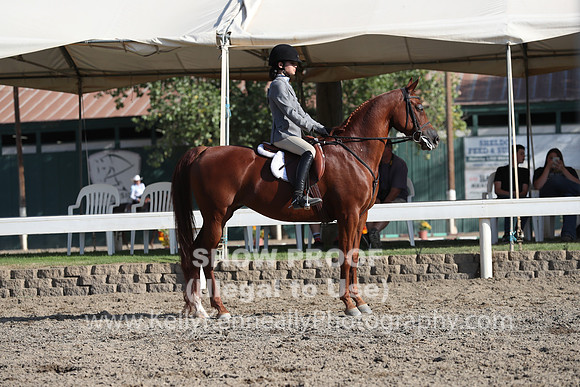 DAHA_FALL19SATPM_6085