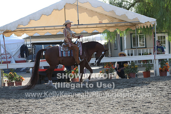 DAHA_FALL19SATPM_6144