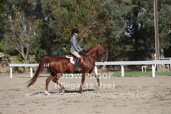 DAHA_FALL19SATPM_6088