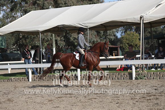 DAHA_FALL19SATPM_6090