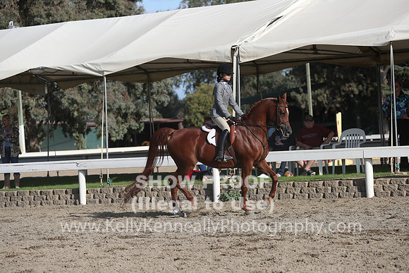 DAHA_FALL19SATPM_6091