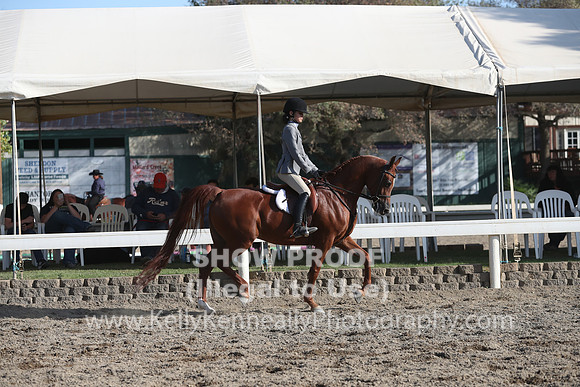 DAHA_FALL19SATPM_6093