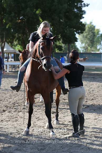DAHA_FALL19_RideABuck_6148